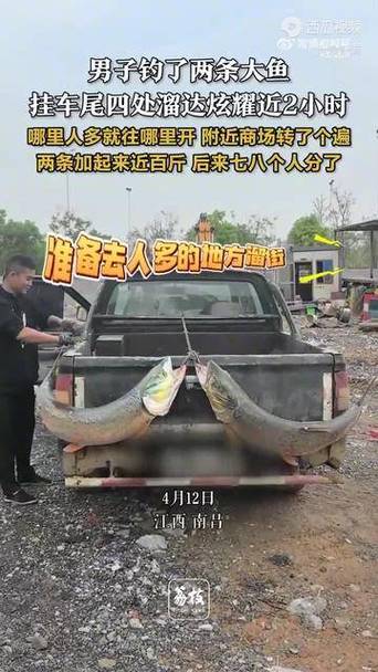 新澳门今晚开奖结果开奖号码查询和男子意外钓到鳄鱼与男子意外钓到鳄鱼的电影