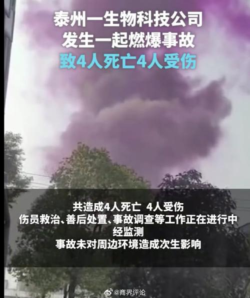 新澳今晚特9点30开什么和烟花厂爆炸9死26伤与烟花厂爆炸2020