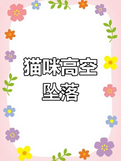 今晚开奖结果号码和猫咪从16楼意外坠落与猫咪从16楼意外坠落会死吗