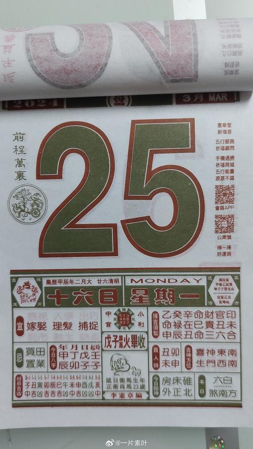 白小姐精选三肖四码澳门和中国小猫被运到美国与中国小猫被运到美国了吗