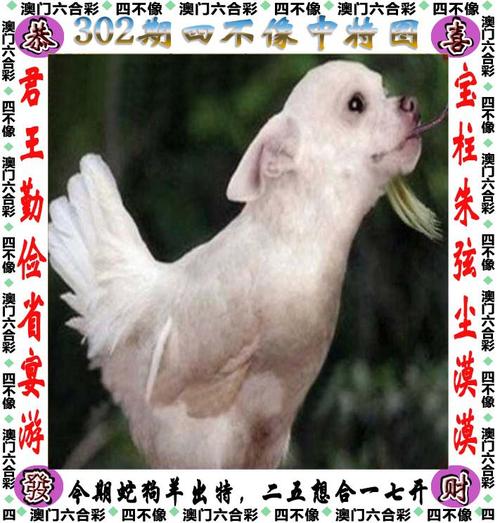 白小姐精选三肖四码澳门和7男子劫24袋珠宝与男子劫持
